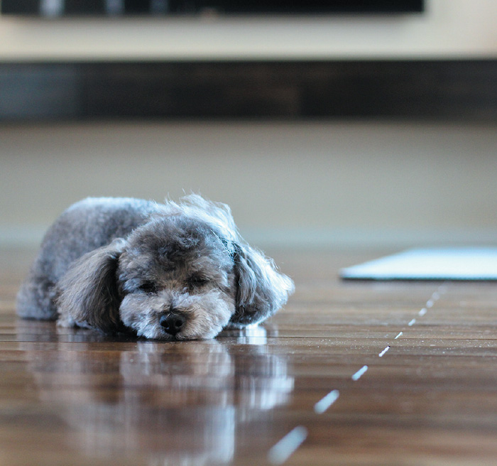 夏涼しく、冬暖かい