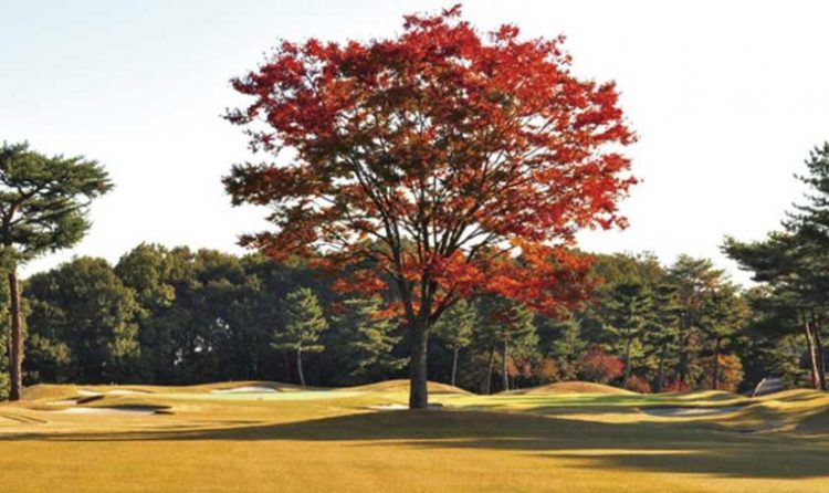 そろそろ打ちおさめ。。。